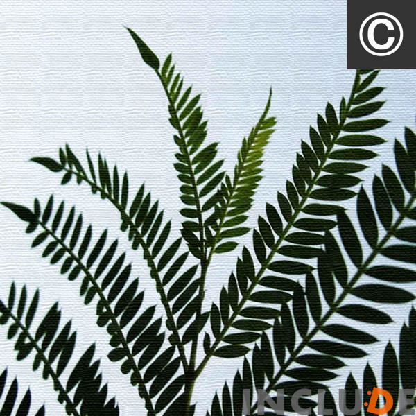 ファブリックボード 黒薔薇 黒いバラ 赤薔薇 赤いバラ 十字架 クロス リーフ 葉 表現力 個性 |  | 03