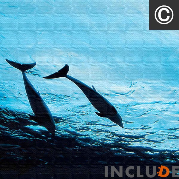 ファブリックボード コンクリート打ちっぱなし ストリート 2 ソリューション イルカ ドルフィン 熱帯魚 海水魚 クマノミ 蒼い海 |  | 03