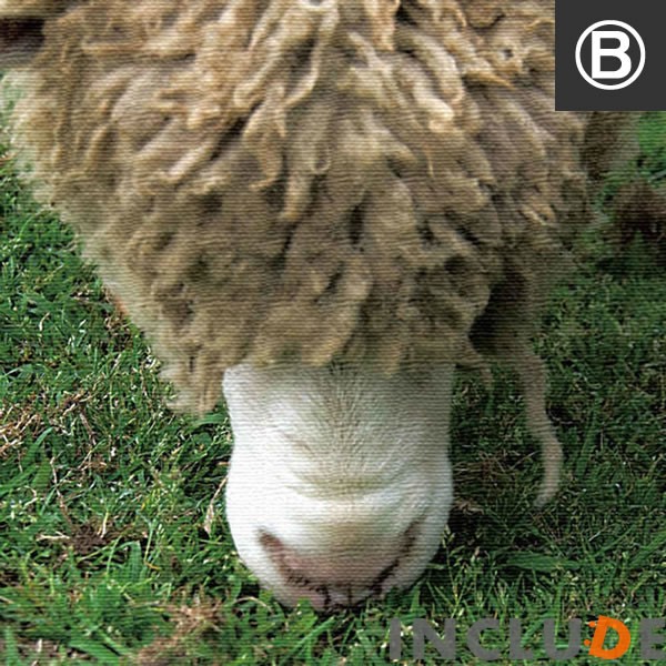 ファブリックボード クリエーター インコ コンゴウインコ 羊 メリノ フラミンゴ 鳥 動物 表現力 個性 |  | 02