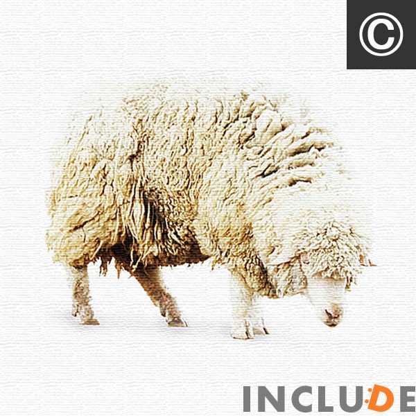 ファブリックボード クリエーター インコ コンゴウインコ 羊 メリノ フラミンゴ 鳥 動物 表現力 個性 |  | 03