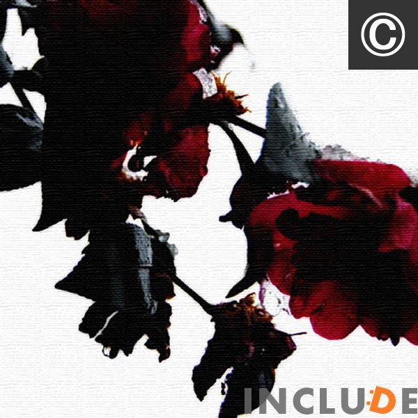 ファブリックボード クリエーター 赤色 レッド 一輪の花 コスモス 梅 梅の花 桜 SAKURA 薔薇 ローズ コイン シルエット 表現力 個性 |  | 03