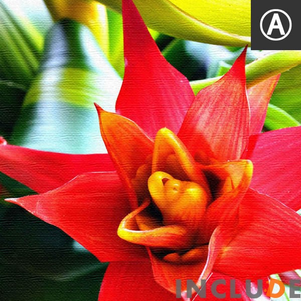 ファブリックボード クリエーター 花 南国の花 トロピカル しまうま ゼブラ フラミンゴ ピンク ポスター モノクロ 白黒 表現力 個性 |  | 01