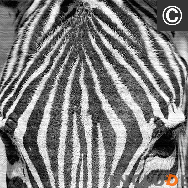 ファブリックボード クリエーター 花 南国の花 トロピカル しまうま ゼブラ フラミンゴ ピンク ポスター モノクロ 白黒 表現力 個性 |  | 03