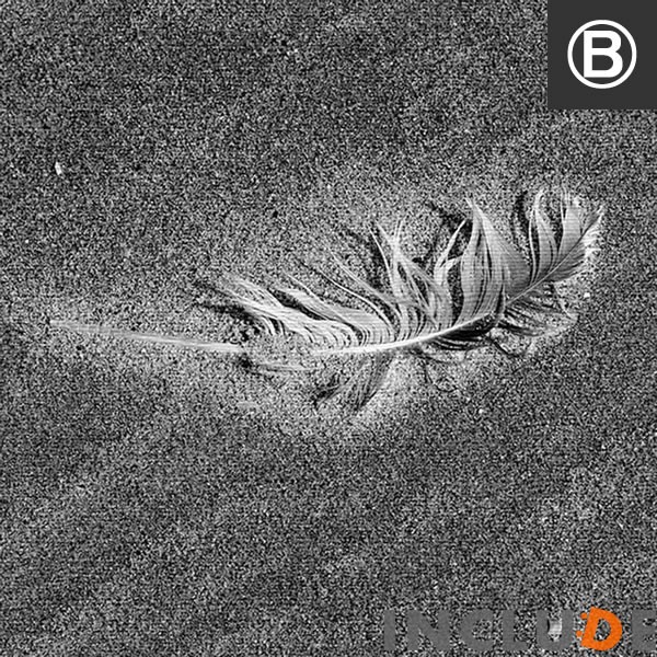 ファブリックボード クリエーター 花 ポピー レンゲ 羽 砂浜 風景 教会 セントメアリー セントピーターズ シカ ポスター モノクロ 白黒 |  | 02