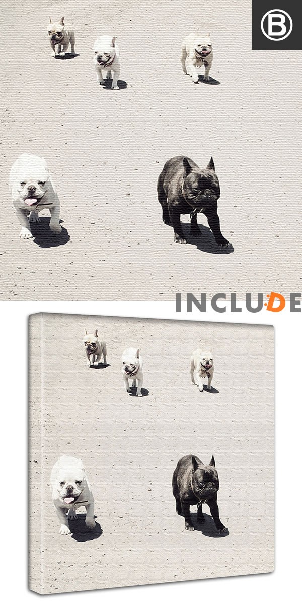 アートパネル クリエーター 白い花 フレブル フレンチブル 花 水滴 遺跡と睡蓮 アユタヤ タイ マレーシア カンボジア ポスター モノクロ 白黒 個性 |  | 02