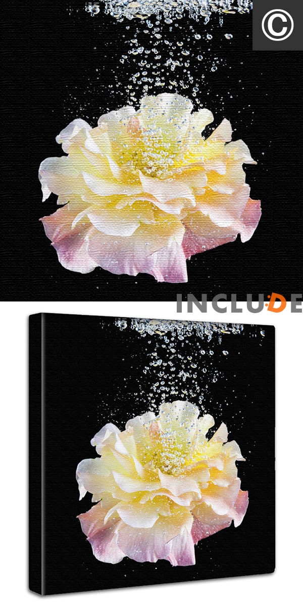 アートパネル クリエーター 白い花 フレブル フレンチブル 花 水滴 遺跡と睡蓮 アユタヤ タイ マレーシア カンボジア ポスター モノクロ 白黒 個性 |  | 03