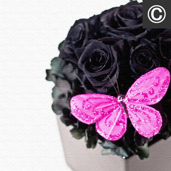 アートパネル ファブリックボード 水玉 ポップ 大き目ドット ランダムボーダー 蝶 ブラックローズ モザイクアート パステル カフェ オブジェ |  | 03