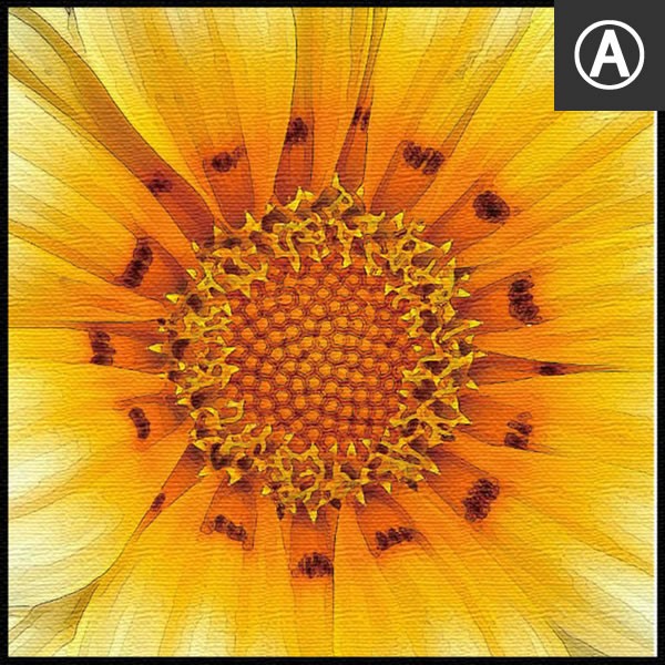 アートパネル ファブリックボード ヒマワリ イエロー 黄色 モザイク ハート 星条旗 アメリカ ビューティー アイライン セクシーアイ 模様 カフェ オブジェ |  | 01