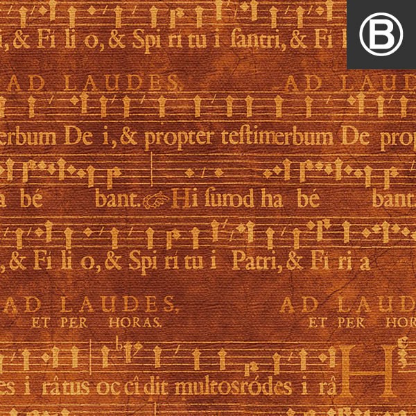 アートパネル ファブリックボード ドッグ カラフル アート ワイマラナー ラブラドール レトロ 楽譜 music BANG ピストル リボルバー ニワトリ 鳥 プリマスロック |  | 02