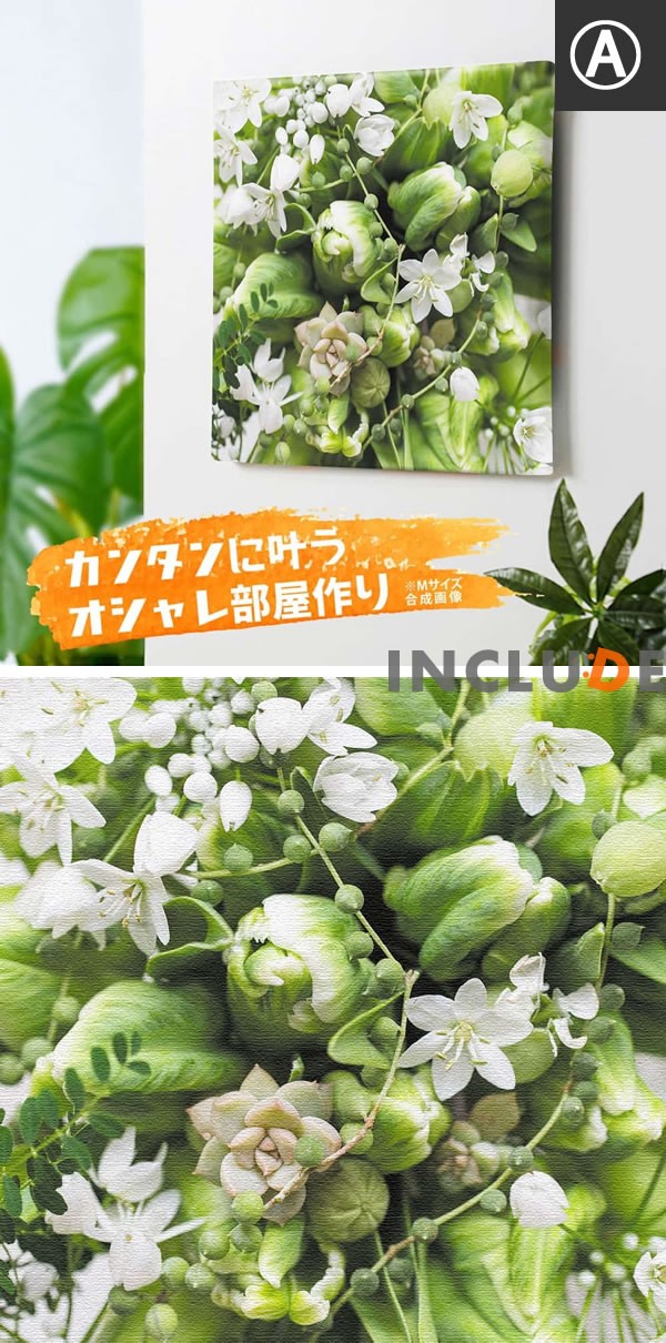 アートパネル グリーン系 緑の花 多肉植物 多肉 ドラセナ アロエ アルフレッド ジェイドポイント エケベリア カーネーション カンボジア ナ 竹内陽子 母の日 Yt 300greencinc Includeysp 通販 Yahoo ショッピング アートパネル グリーン系 緑の花 多肉植物 多肉 ドラセナ アロエ アルフレッド ジェイドポイント エケベリア カーネーション カンボジア ナ 竹内陽子 母の日 Yt 300greencinc Includeysp 通販 Yahoo ショッピング
