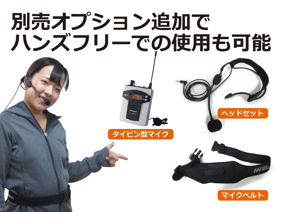 PE アンプ