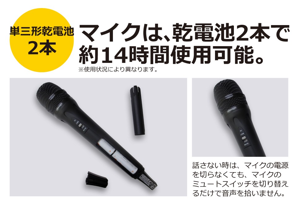 PE アンプ