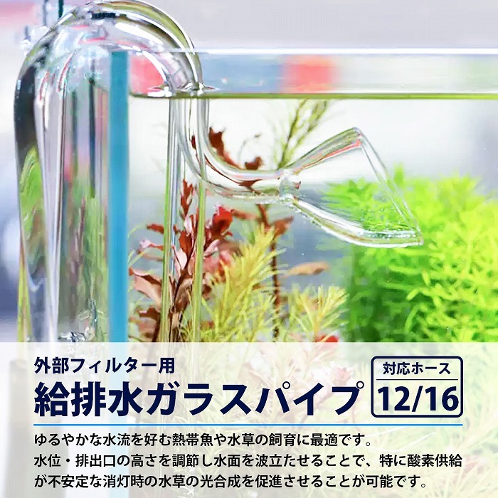 水槽 ガラスパイプセット 12/16 ホース用 リリィ型パイプ 吸水パイプ 出水パイプ :10018330:increase  Yahoo!ショッピング店 - 通販 - Yahoo!ショッピング