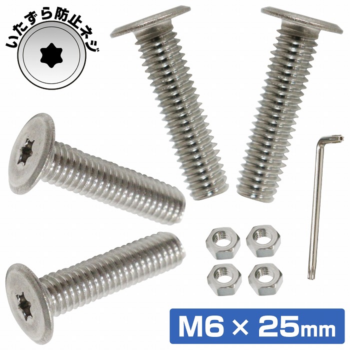 ステンレスボルト M6 25mm 取付 ネジ 薄型 盗難防止 極低頭 4本