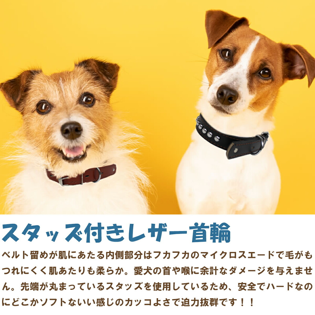 【即決OK値下不可】ゴヤール　犬リード、首輪、ブラック EZYDOG ZEROSHOCK LEASH イージードッグ ゼロショック 犬用