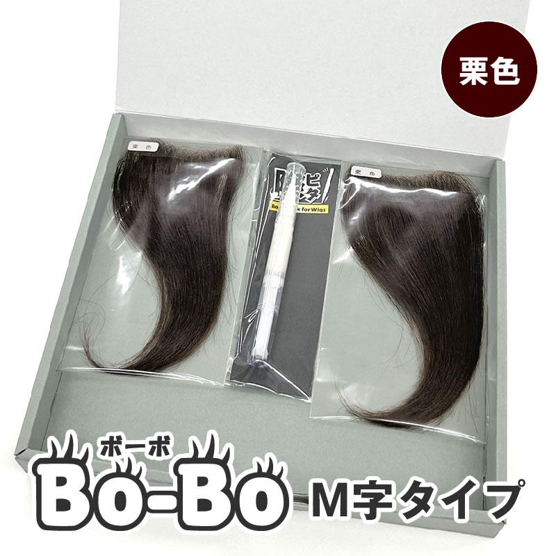 カツラ（桂）【現品発送】管理70554 カツラ（桂）【現品発送】管理70554