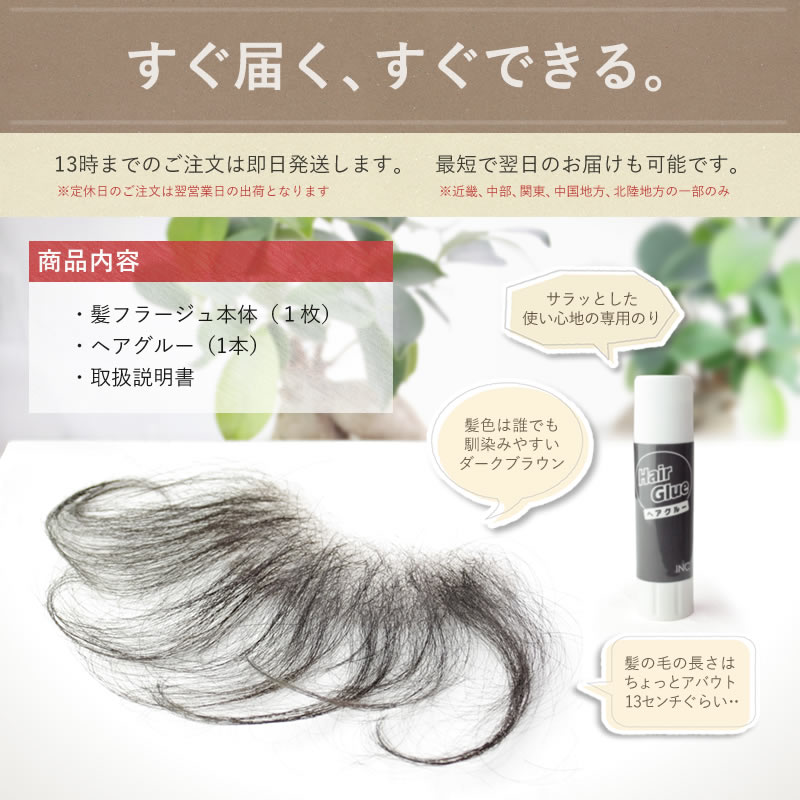 髪フラージュ　カミフラージュ　通常版　セルフ増毛　貼る増毛　生え際　ヘアグルー付き