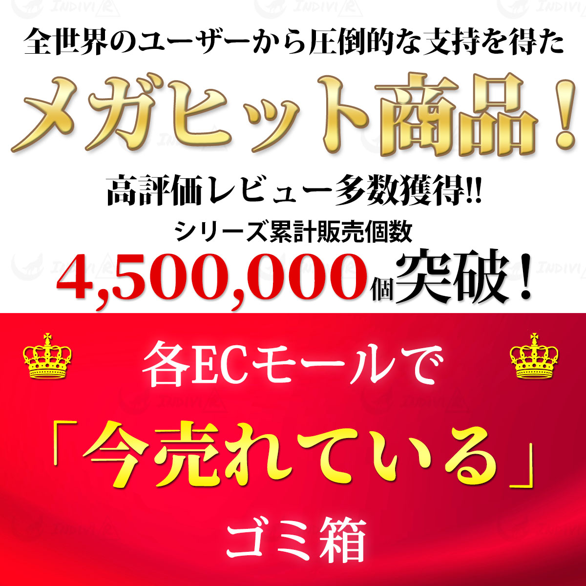 送料無料】 ゴミ箱 おしゃれ キッチン ダストボックス 分別 スリム