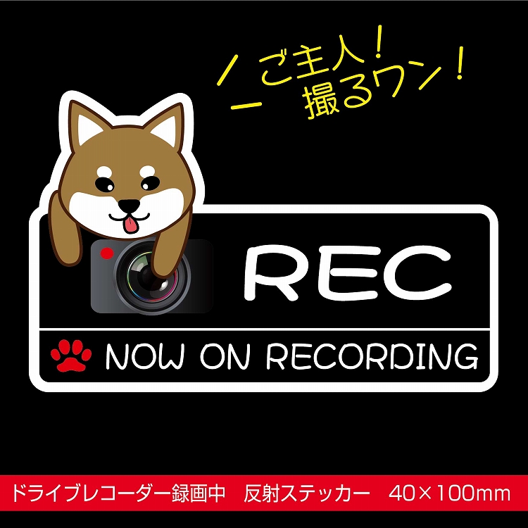 ドラレコステッカー 犬 反射 かわいい ステッカー ドライブレコーダー 撮影 40×100 たぶん柴犬｜indoorsign｜03