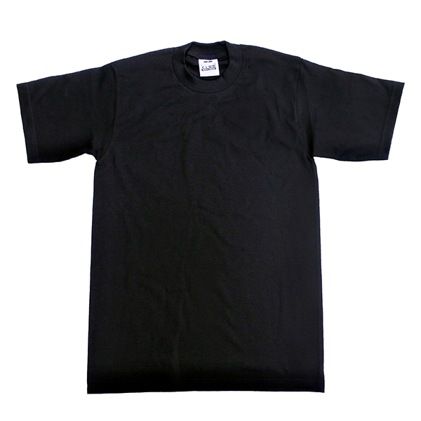 プロクラブ PRO CLUB Tシャツ 半袖 101 ヘビーウェイト メンズ 6.5オンス クルーネック 厚手｜infini-elts｜02