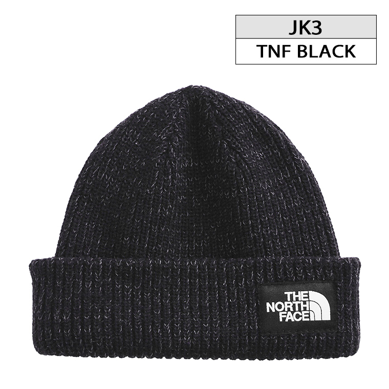 THE NORTH FACE ザ ノースフェイス ニット帽 NF0A3FJW SALTY DOG