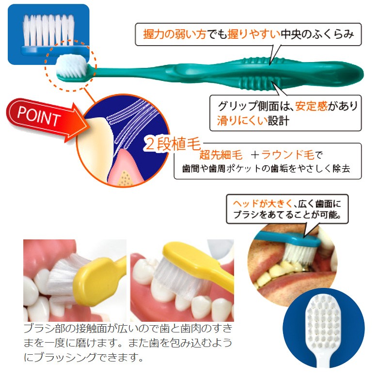 Ci８００ハイアダルト