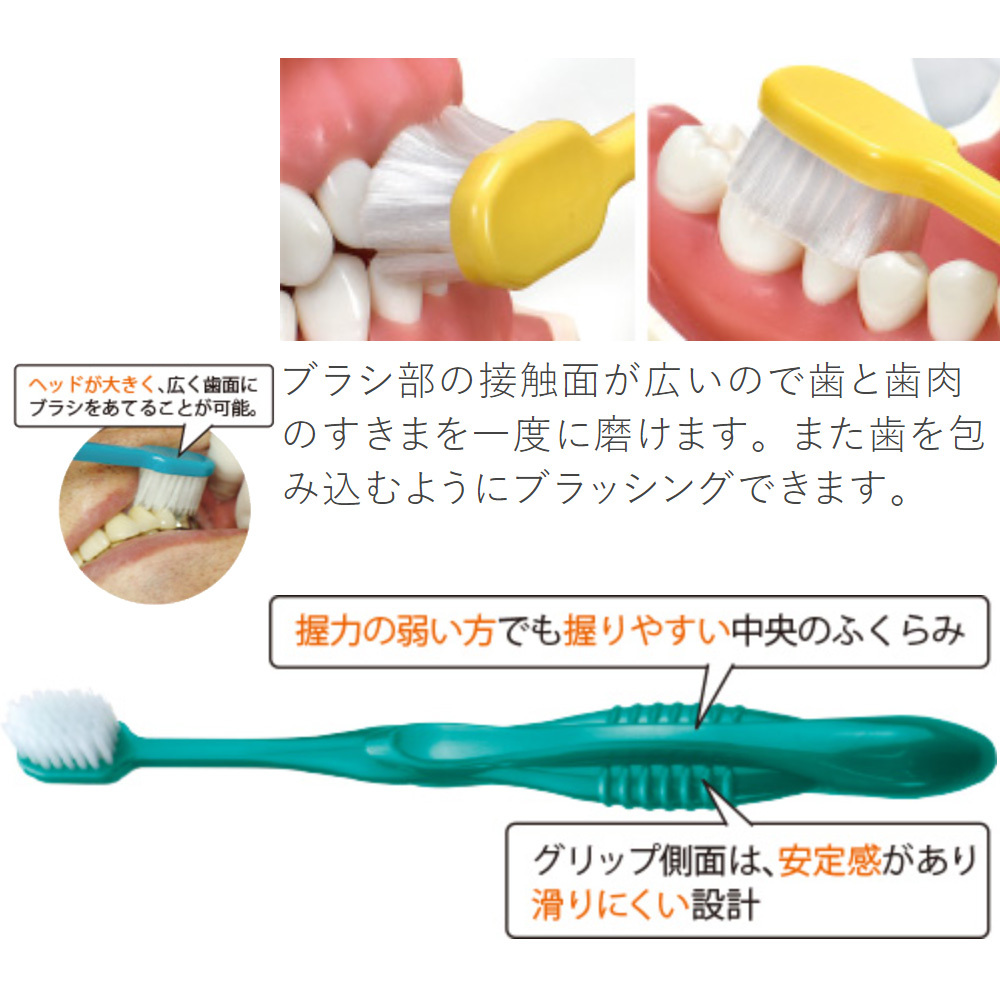 Ci802ハイアダルト