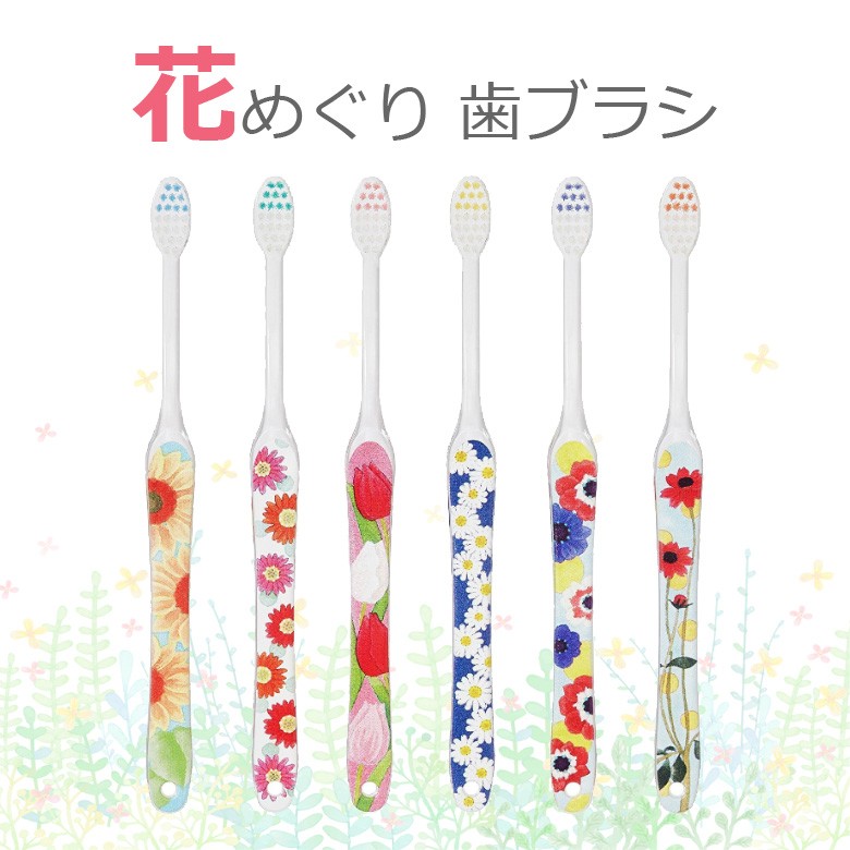 3/7.8限定！5%OFFクーポン！歯ブラシ 花めぐり 6本セット メール便可 2