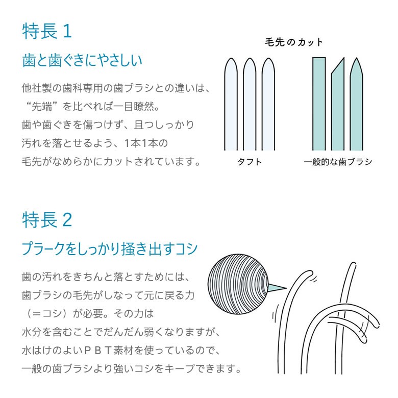 タフト12