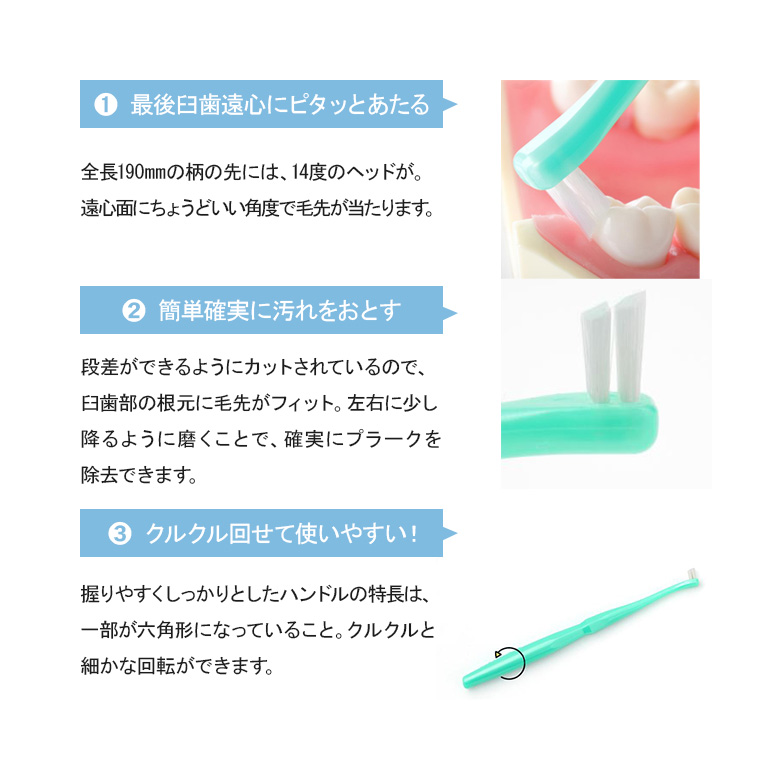 オーラルケア Oral Care（オーラルケア） 12/19〜21限定！5%OFFクーポン！歯ブラシ