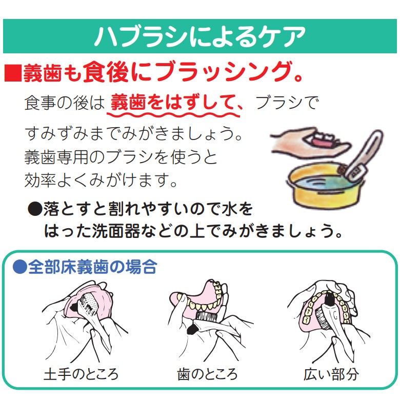 ☆大感謝セール】 25,26日限定P5倍 義歯用ハブラシ1本 サン