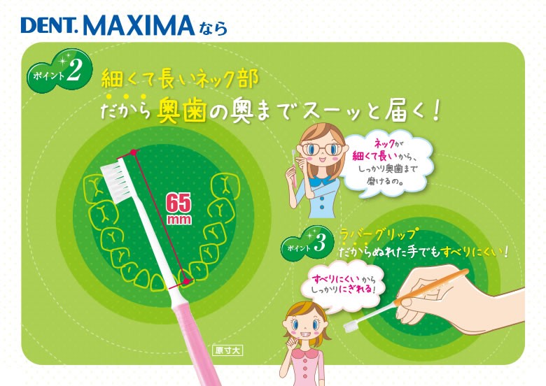 LION（ライオン） 歯ブラシ DENT MAXIMA マキシマ 4色アソート 4本入り