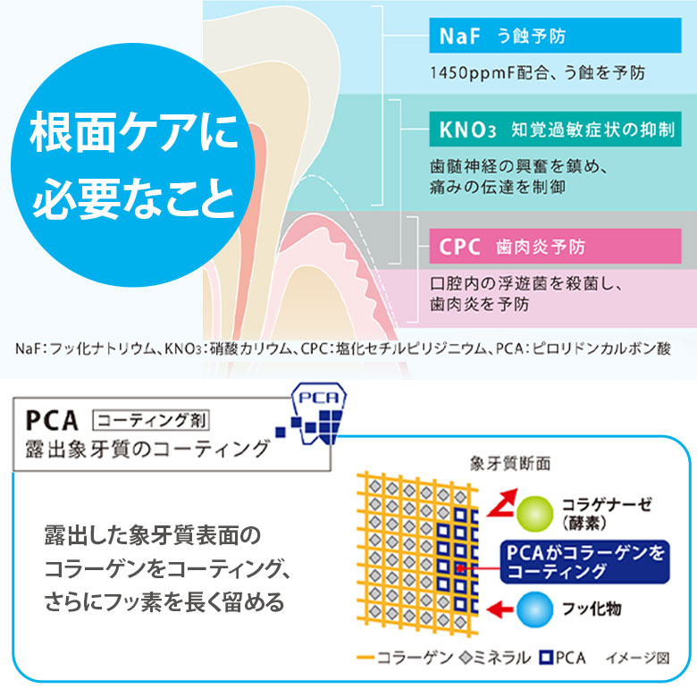楽天市場】正規品 2025 最新 歯科医師監修 口腔洗浄器
