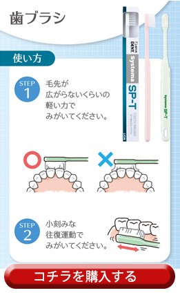 SP-T歯ブラシ