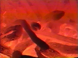 備長炭　窯の様子