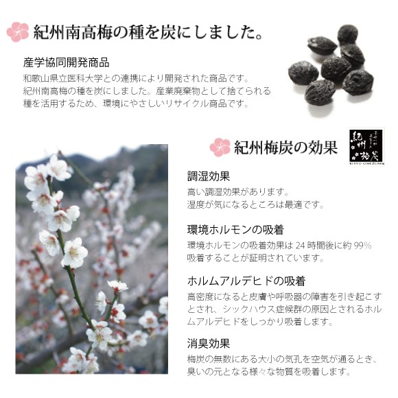 紀州梅炭