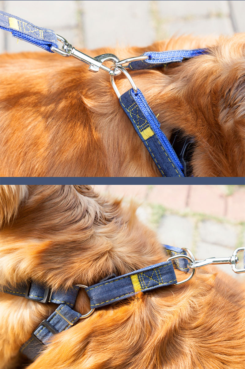 犬 ハーネス リード 首輪 3点セット 犬用 犬用ハーネス 小型犬
