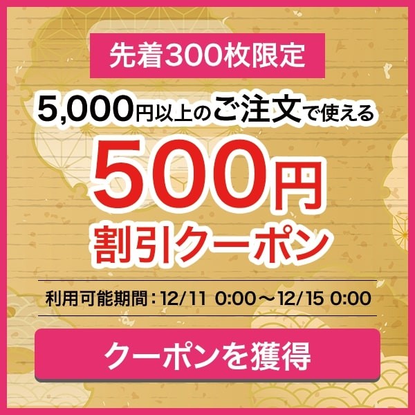 【先着300枚限定】500円割引クーポン