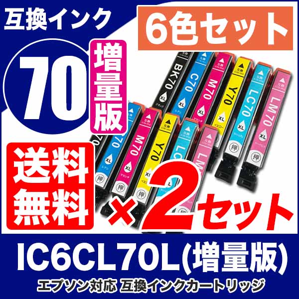 エプソン 目詰まり解消 洗浄カートリッジ EPSON インク IC70専用 6