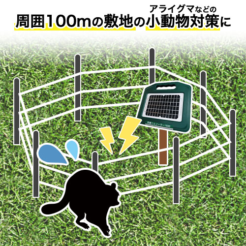 電気柵セット 防獣くんソーラー1500 お手軽 100ｍセット(3段張） アライグマ 猪 イノシシ 猿 サル 防獣対策 防護柵 電気柵 ネクストアグリ  : electricfence-146 : 箱罠・くくり罠のイノホイ inohoi - 通販 - Yahoo!ショッピング