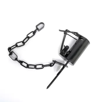 アライグマ捕獲器の設置方法