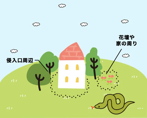 ヘビ対策