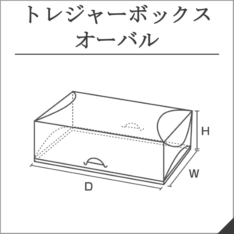 クリアケース ギフトボックス 透明 箱 PNN-40 W40×D40×H40 100枚