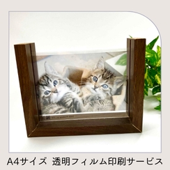 透明フィルム印刷サービス
