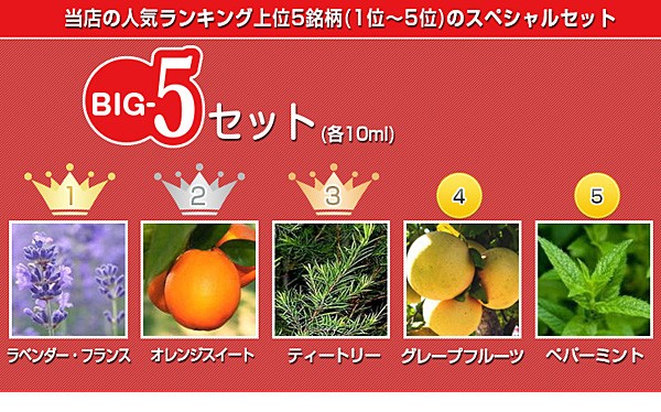 ラベンダー フランス 真正ラベンダー オレンジスイート ティートリー 豊富な品 グレープフルーツ セット 各10ml アロマオイル ペパーミント Big 5セット