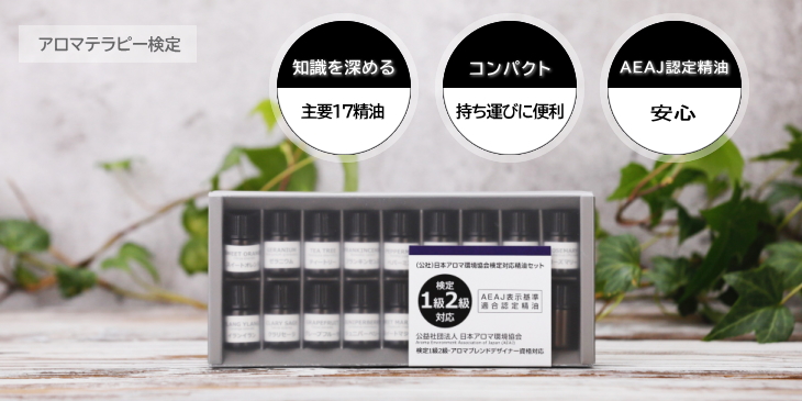 インセントオンラインショップ - Yahoo!ショッピング