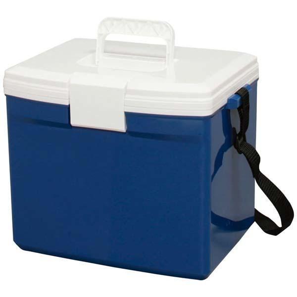 IRIS OHYAMA（アイリスオーヤマ） クーラーボックス 小型 15L 釣り