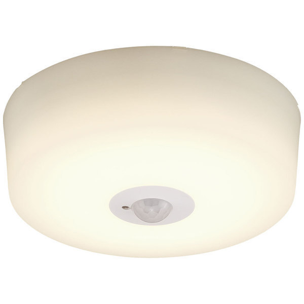 IRIS OHYAMA（アイリスオーヤマ） シーリングライト led 小型