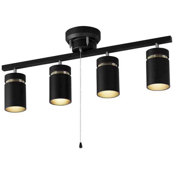 IRIS OHYAMA（アイリスオーヤマ） 4灯シーリングライト CE4LA-22SS