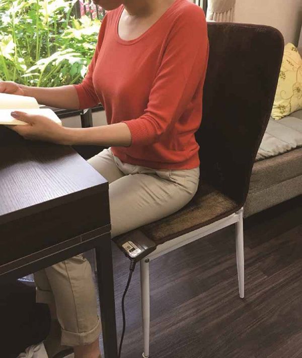 ワタナベ工業 ホットクッション 45×90cm ブラウン WA-4590E (D